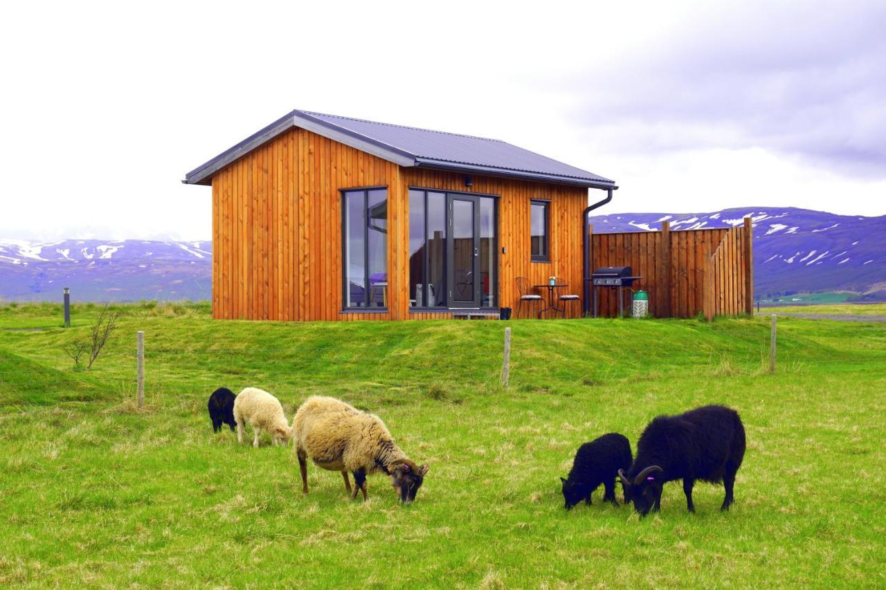 Austurey Cottages Laugarvatn Eksteriør bilde