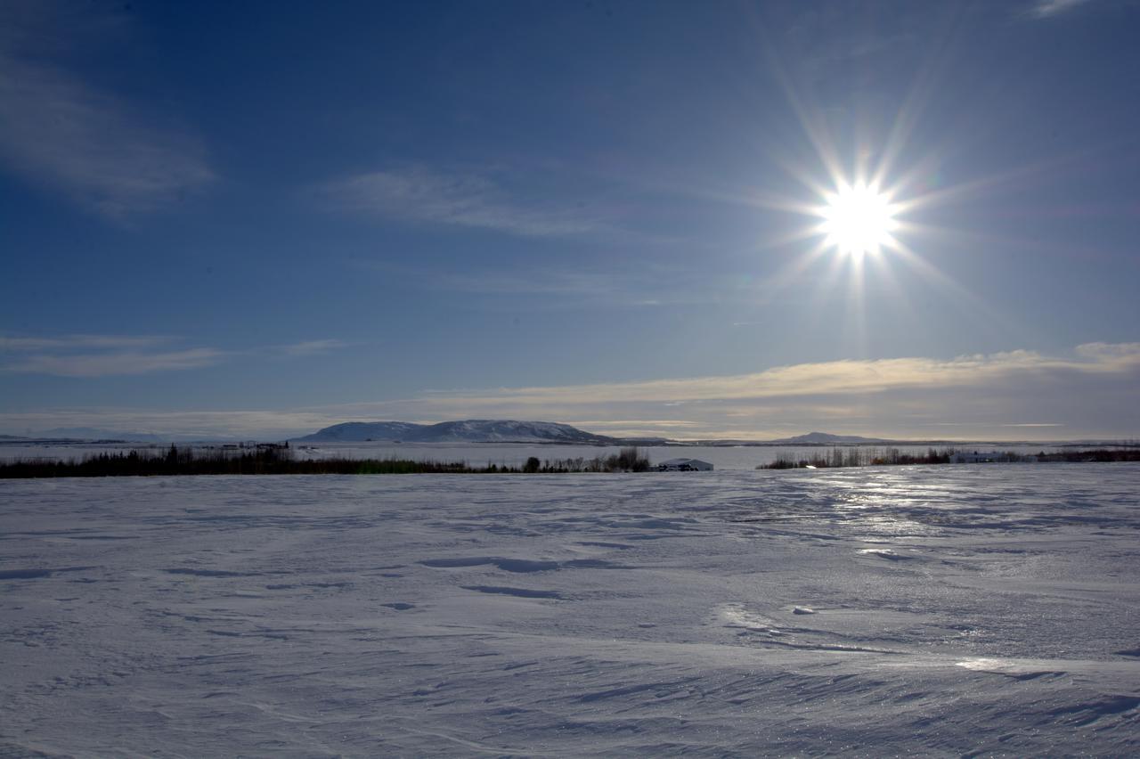 Austurey Cottages Laugarvatn Eksteriør bilde